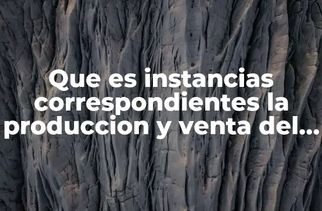 Que es Instancias Correspondientes la Produccion y Venta Del Producto