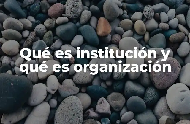 El rol de las estructuras sociales en el desarrollo colectivo
