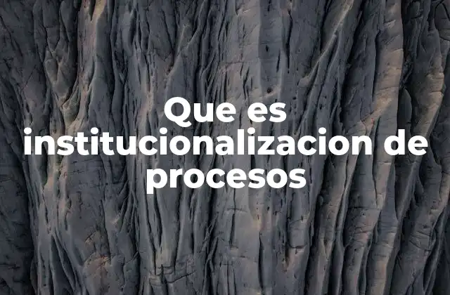 Que es Institucionalizacion de Procesos