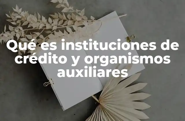 Qué es Instituciones de Crédito y Organismos Auxiliares