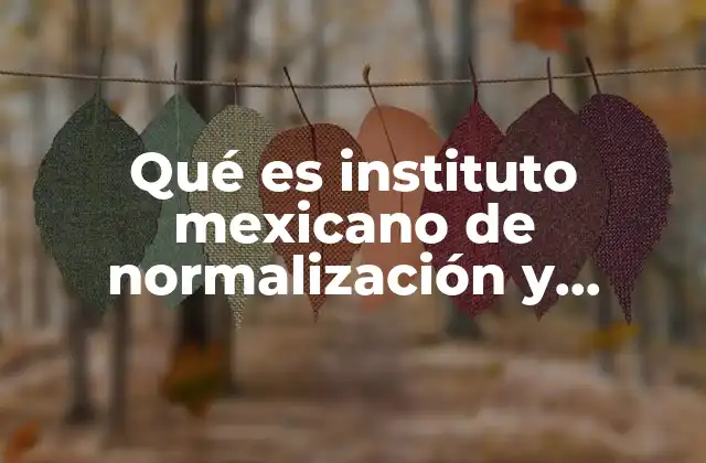 Qué es Instituto Mexicano de Normalización y Certificación