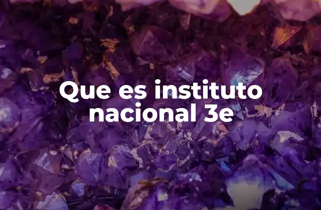 Que es Instituto Nacional 3e