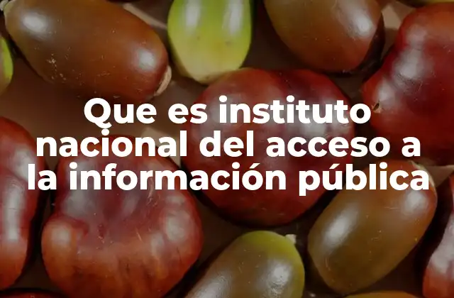 Que es Instituto Nacional Del Acceso a la Información Pública