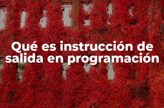 La importancia de la salida en la comunicación del programa