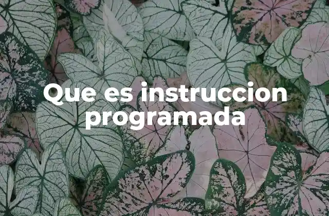 Que es Instruccion Programada