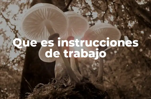 Que es Instrucciones de Trabajo