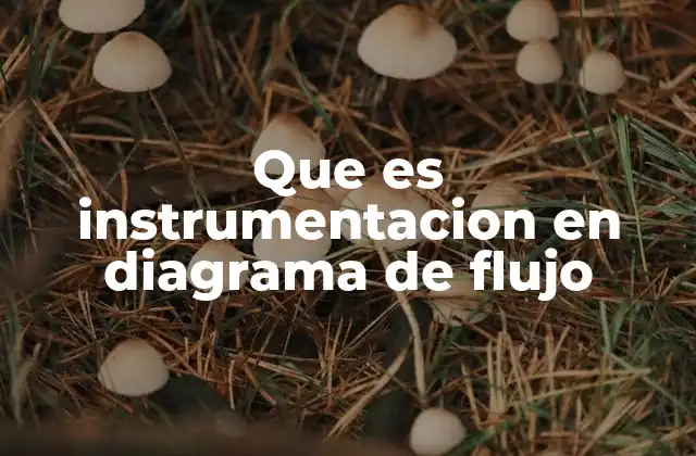 Que es Instrumentacion en Diagrama de Flujo