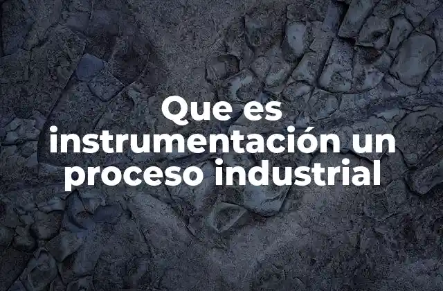 Que es Instrumentación un Proceso Industrial