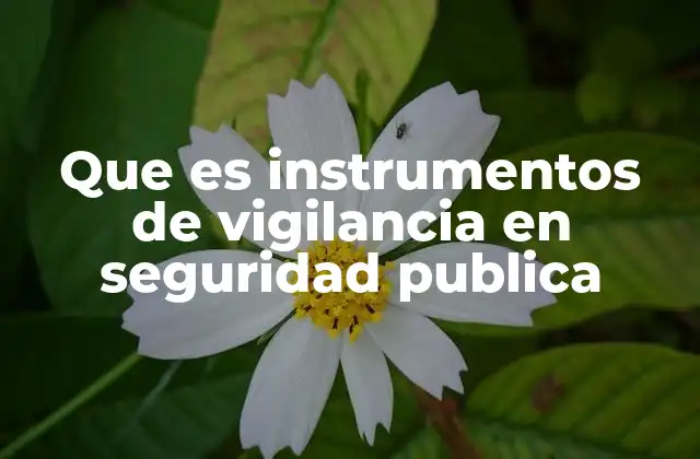 Que es Instrumentos de Vigilancia en Seguridad Publica