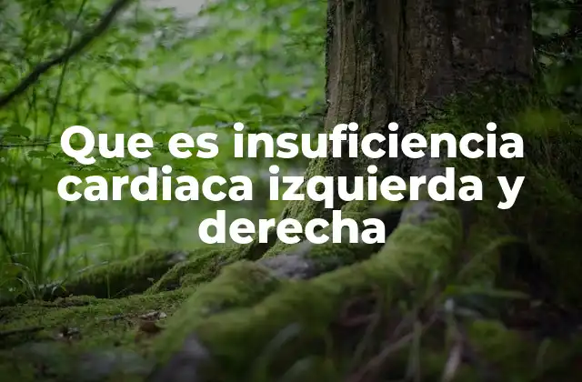 Que es Insuficiencia Cardiaca Izquierda y Derecha
