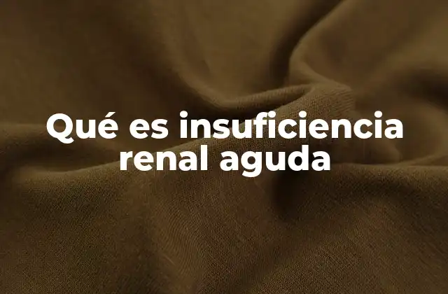 Qué es Insuficiencia Renal Aguda