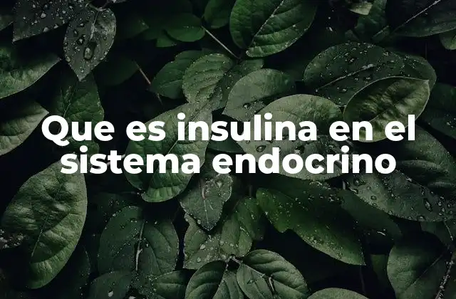 Que es Insulina en el Sistema Endocrino