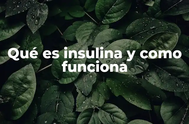 El papel de la insulina en el metabolismo energético
