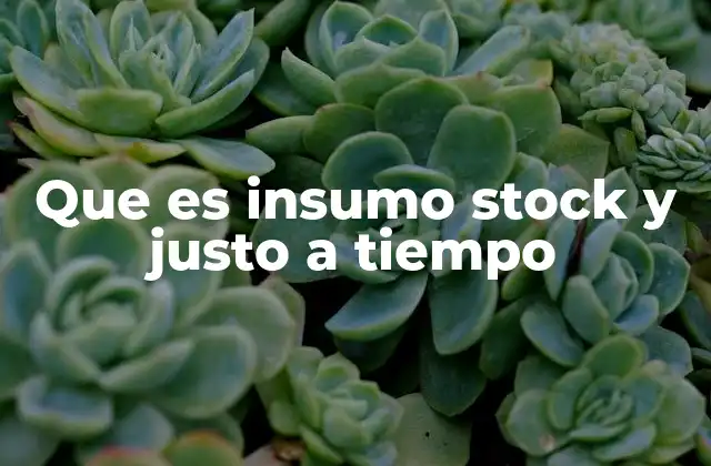 Que es Insumo Stock y Justo a Tiempo