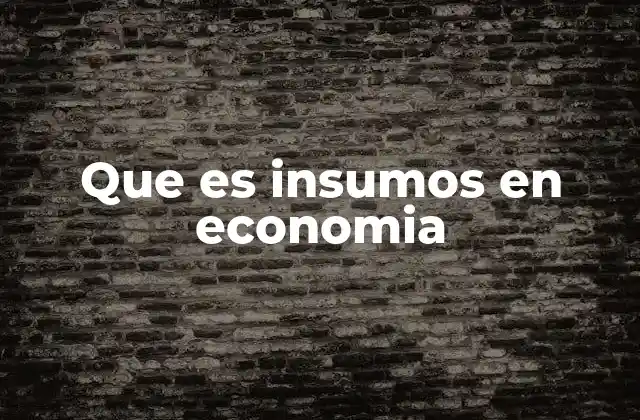 Que es Insumos en Economia