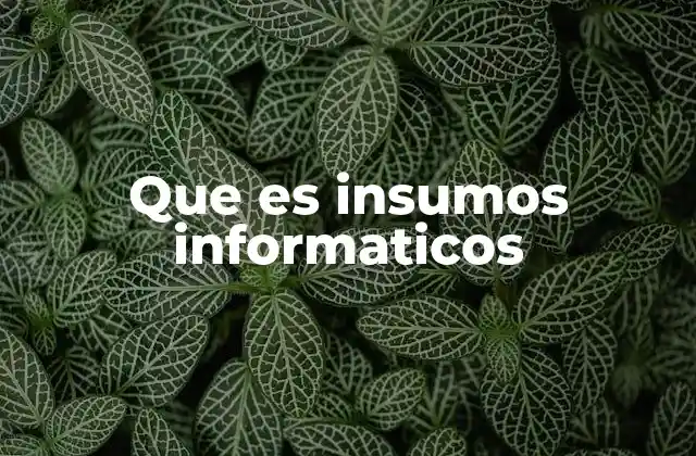Que es Insumos Informaticos