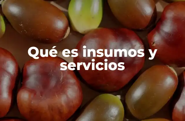 Qué es Insumos y Servicios