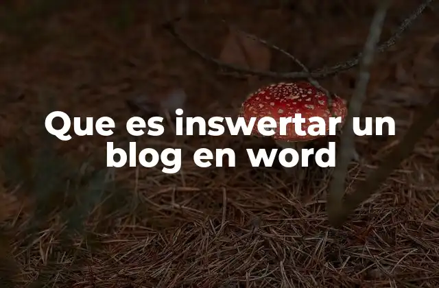 Que es Inswertar un Blog en Word