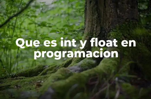 Que es Int y Float en Programacion 2 Tipos de datos numéricos y su importancia en la programación