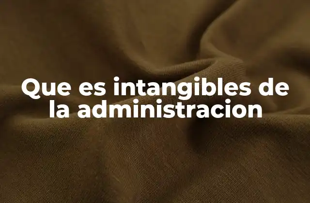 Que es Intangibles de la Administracion