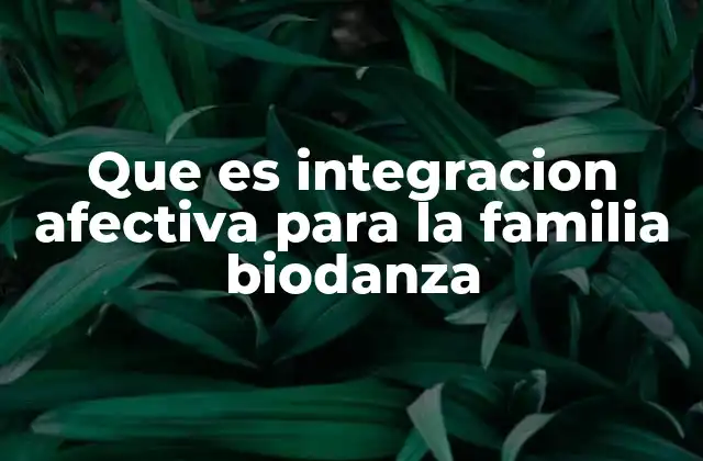 Que es Integracion Afectiva para la Familia Biodanza