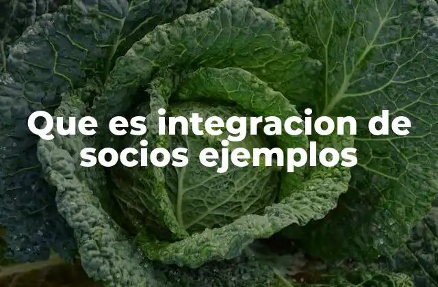 Que es Integracion de Socios Ejemplos