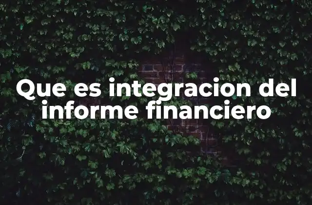 Que es Integracion Del Informe Financiero