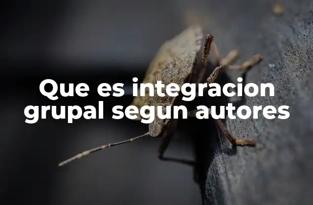 Que es Integracion Grupal Segun Autores