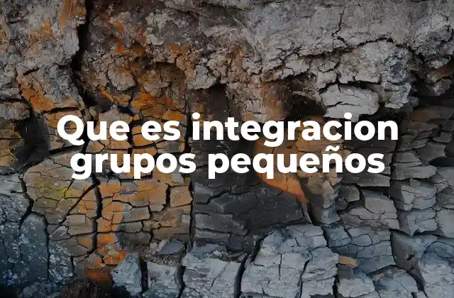 Que es Integracion Grupos Pequeños