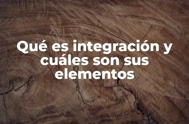Qué es Integración y Cuáles Son Sus Elementos