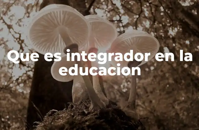 La importancia del integrador en el entorno escolar
