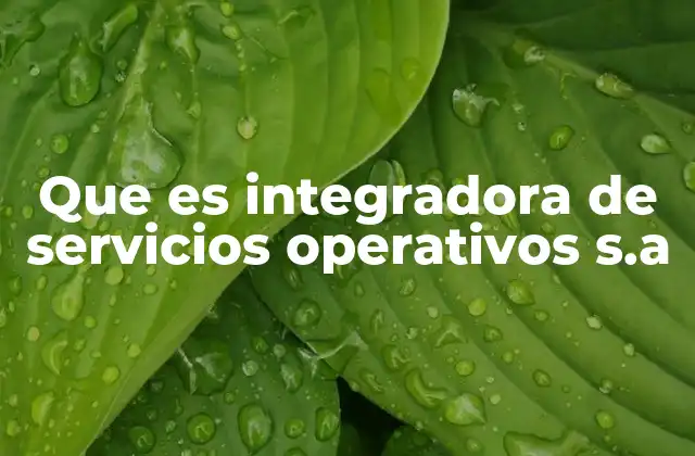El rol de las empresas integradoras en el desarrollo económico