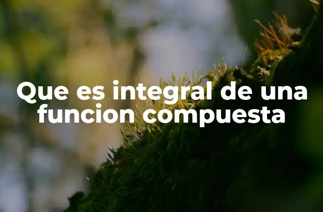 Que es Integral de una Funcion Compuesta