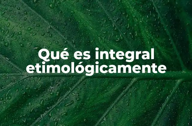 Qué es Integral Etimológicamente