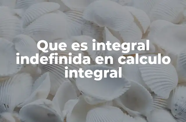 Que es Integral Indefinida en Calculo Integral