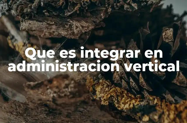Que es Integrar en Administracion Vertical