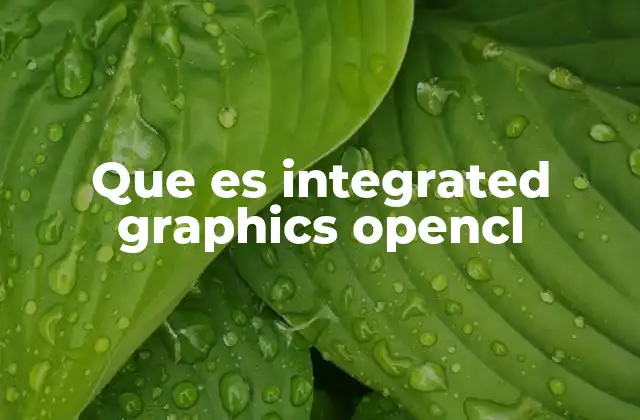 Que es Integrated Graphics Opencl