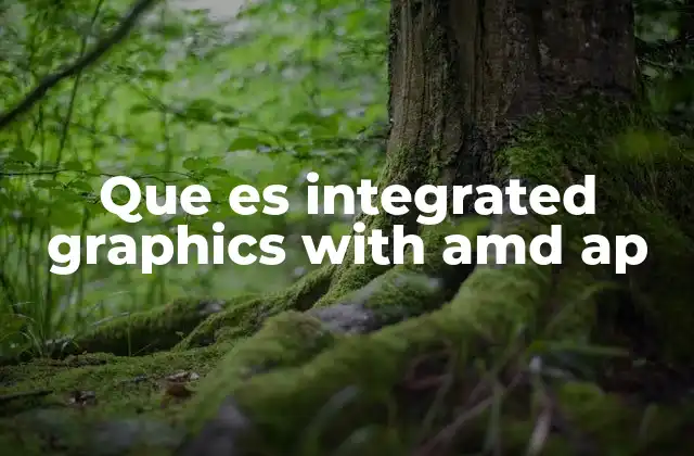Que es Integrated Graphics With Amd Ap