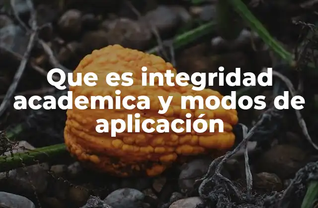 Que es Integridad Academica y Modos de Aplicación