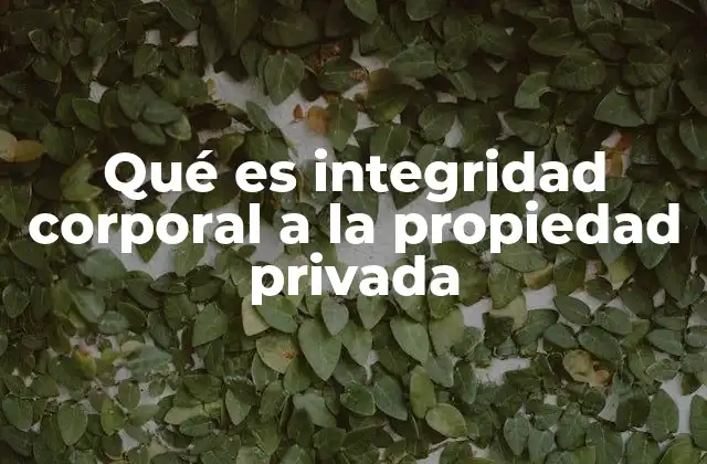 Qué es Integridad Corporal a la Propiedad Privada