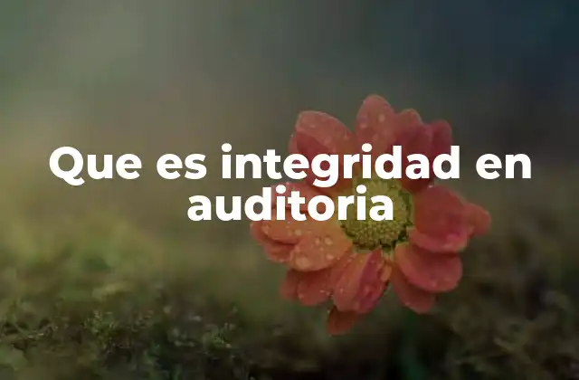 Que es Integridad en Auditoria