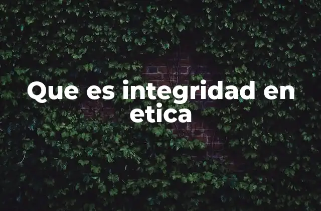 Que es Integridad en Etica