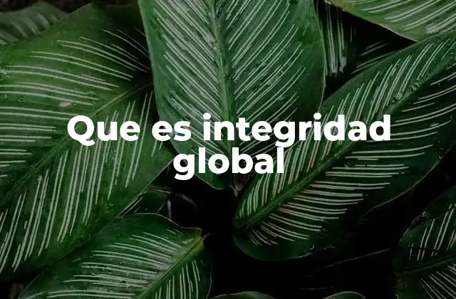 Que es Integridad Global