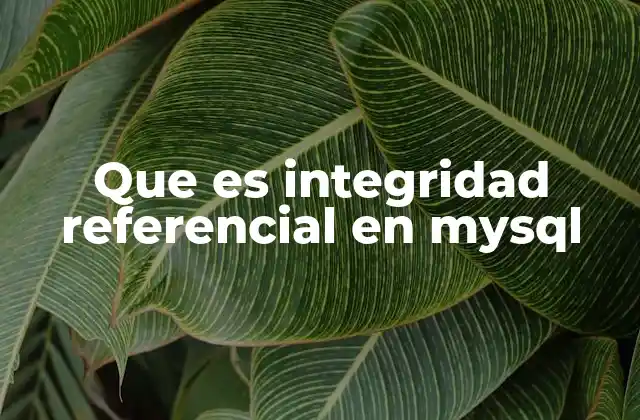 Que es Integridad Referencial en Mysql
