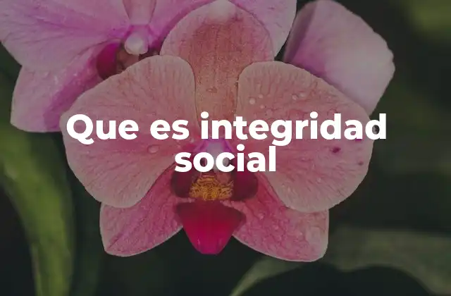 Que es Integridad Social