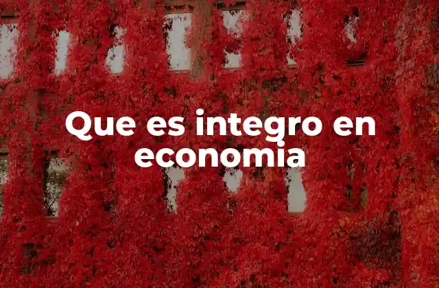 Que es Integro en Economia