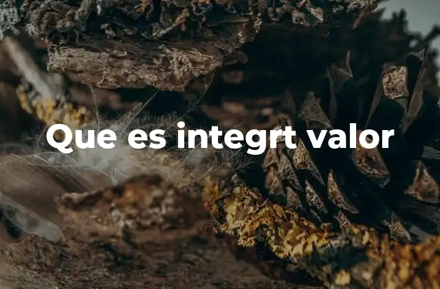 Que es Integrt Valor