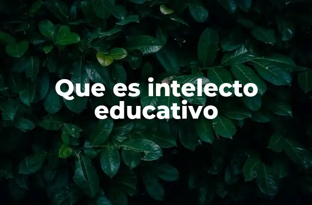 Que es Intelecto Educativo