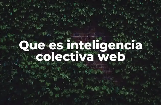 Que es Inteligencia Colectiva Web