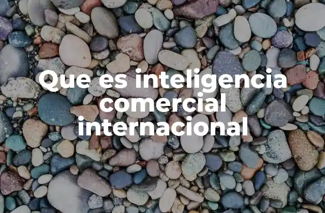 Que es Inteligencia Comercial Internacional
